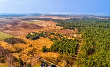 Działki pod Częstochową w sąsiedztwie lasu - Krasice
