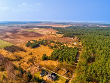 Działki pod Częstochową w sąsiedztwie lasu - Krasice
